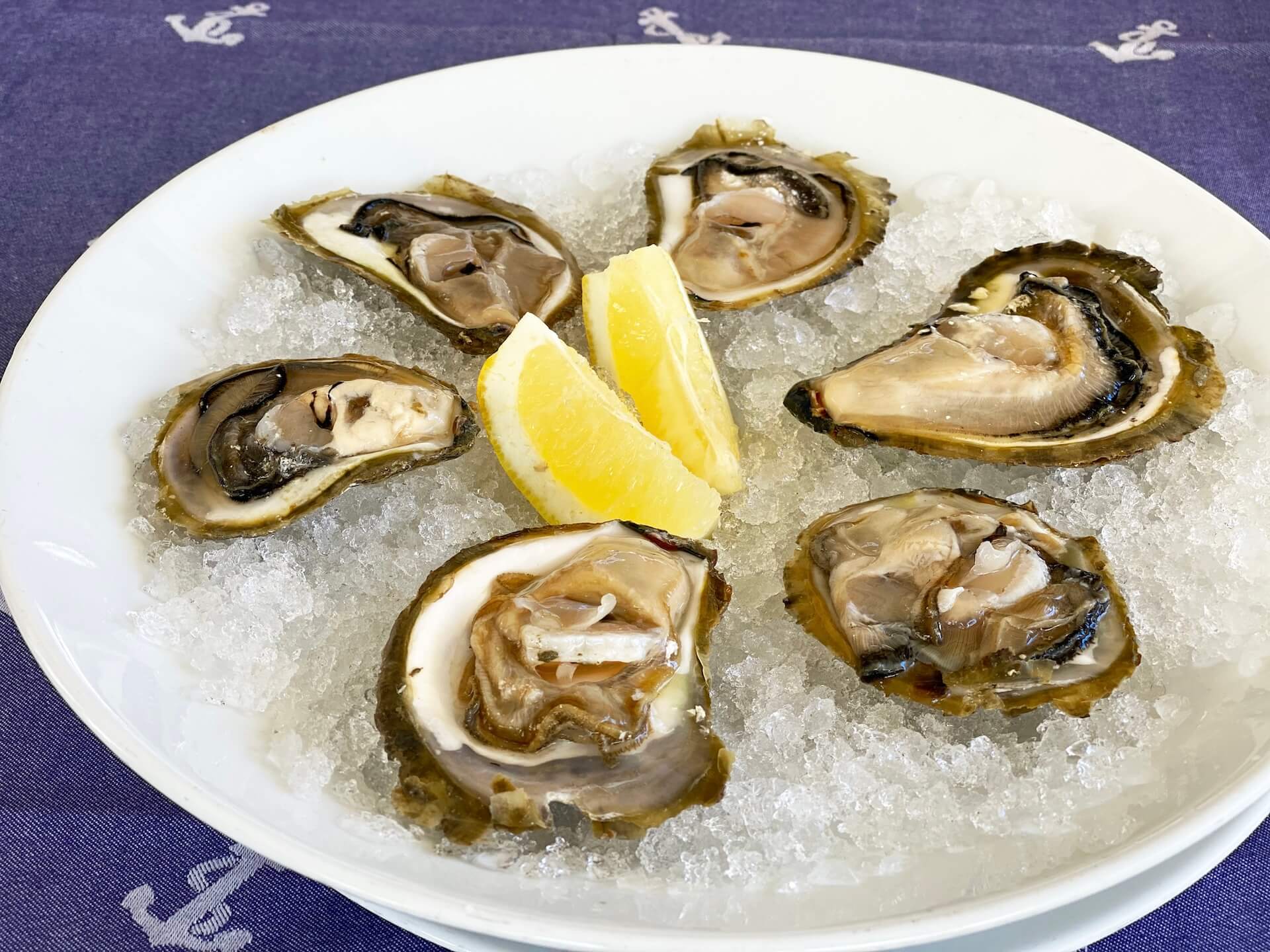 Un piatto di ostriche fresche Mali Ston su ghiaccio tritato con limone.